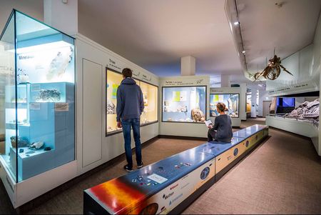 Zwei Gäste schauen sich die Ausstellung im Museum für Natur und Umwelt an