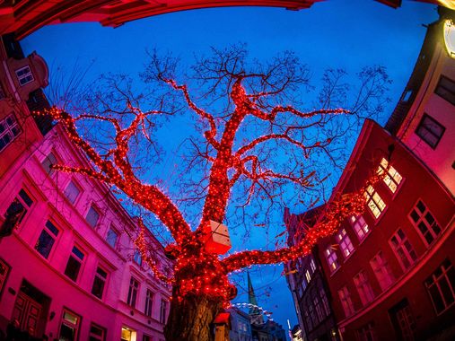 Baum mit roten Lichtern 